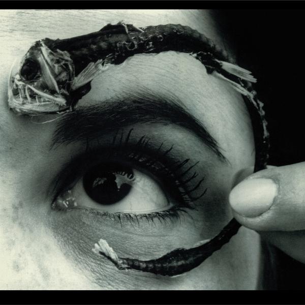 Disco Volante (Translucent Light Blue Vinyl), Vinili