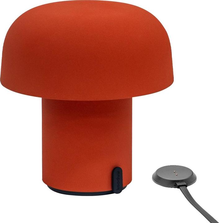 Actual product image Kooduu Sensa