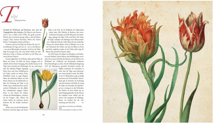 Actual product image Die Sprache der Blumen. Pflanzen und ihre symbolische Bedeutung (German, Marina Heilmeyer, 2024)