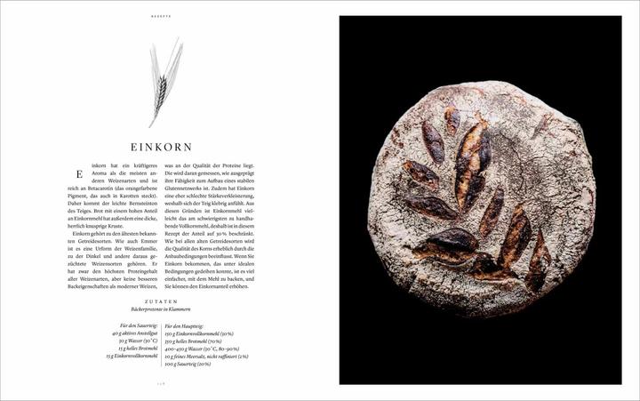 Immagine prodotto Sauerteig. Gutes Brot backen (Tedesco, Casper André Lugg, Martin Ivar Hveem Fjeld, 2021)
