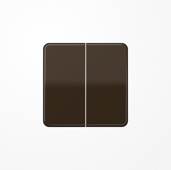 Actual product image JUNG Rocker Series CD595BR brown