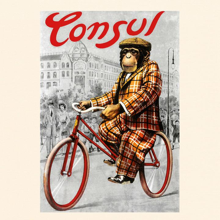 Image du produit Cycling through History 2026 (30 x 30 cm)