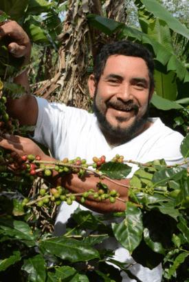 Image du produit Sonnentor Café vert (54 g)