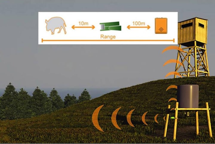Actual product image Berger & Schröter Animal detector