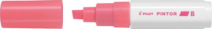 Image du produit Pilot PINTOR - Marqueur
