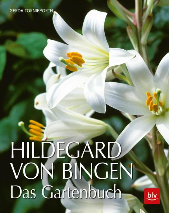 Produktbild Hildegard von Bingen (Deutsch, Gerda Tornieporth, 2018)