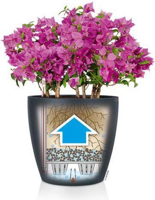 Image du produit Lechuza Classico Color 60 (60 cm)