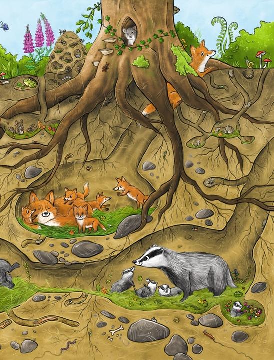 Immagine prodotto Das grosse Wald-Wimmelbuch (Tedesco)