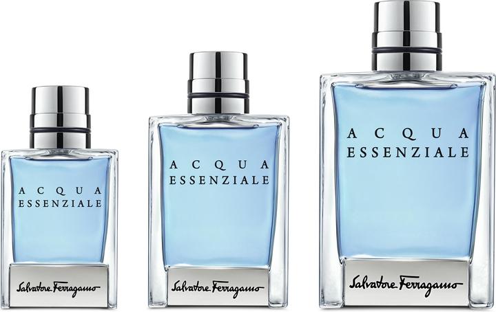 Actual product image Salvatore Ferragamo Eau de toilette (Eau de toilette, 100 ml)