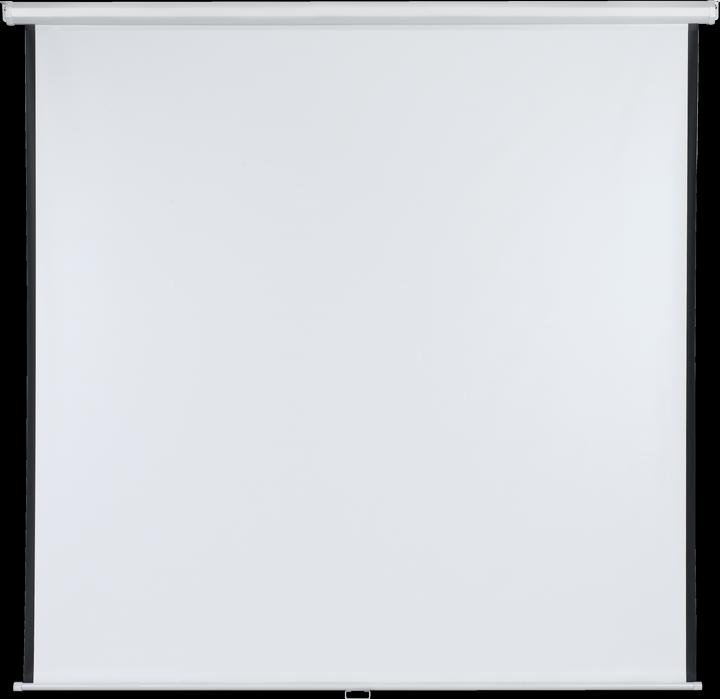 Franken Rollo screen 200 x cm projection surface (78.74", 1:1)