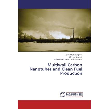 Multiwall Carbon Nanotubes and Clean Fuel Production, Fachbücher von Mohammad Reza Khosravi nikou, Ahmad Shariati, Omid ...