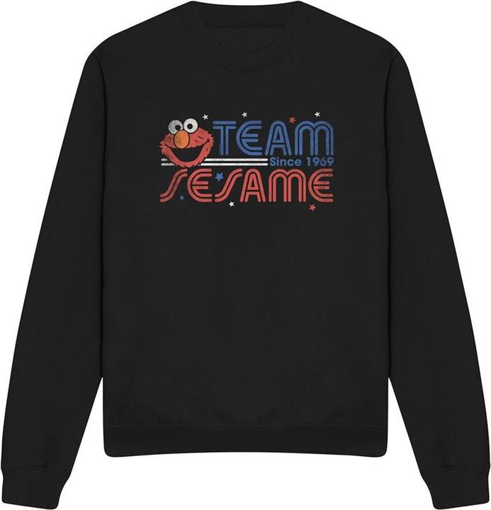 Produktbild Team Sweatshirt (L)