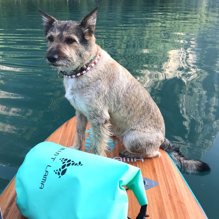 Image du produit Mint Lama Dry Bag (5 l)