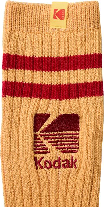 Actual product image Brava Fabrics Kodak (Single pack, 36 - 40)