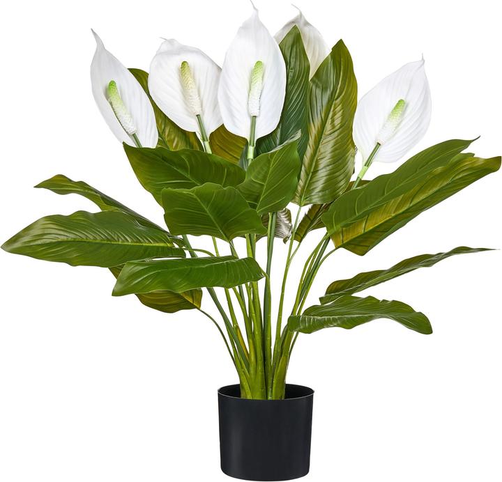 Produktbild Beliani Spathphyllum (70 cm)