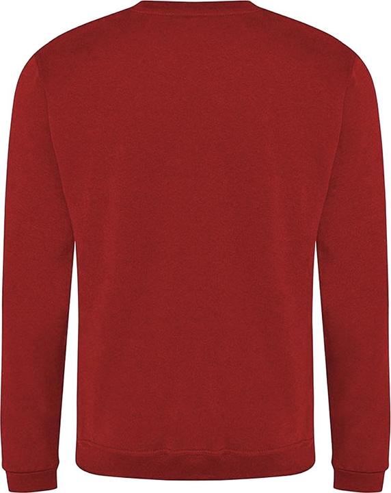 Immagine prodotto Pro RTX Felpa (4XL)