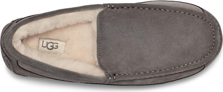 Actual product image Ugg Ascot (44)