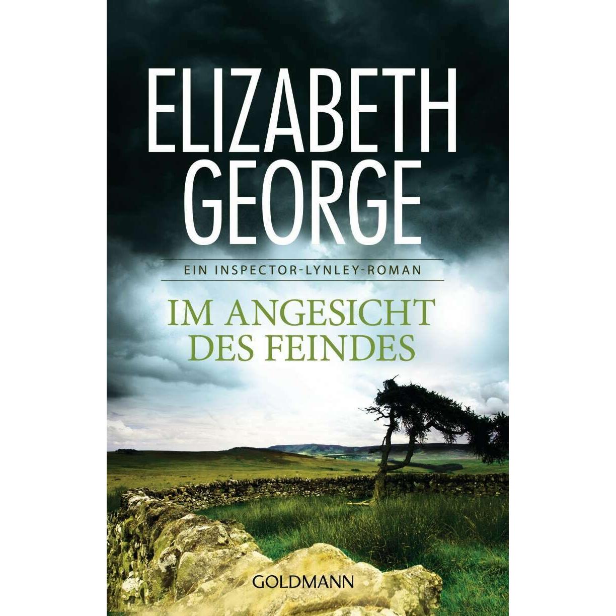 Im Angesicht des Feindes, Belletristik von Elizabeth George, Mechtild Sandberg-Ciletti