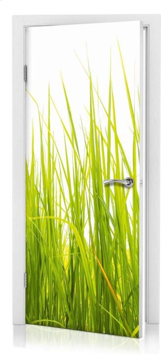 Actual product image Trenddeko Tall grass
