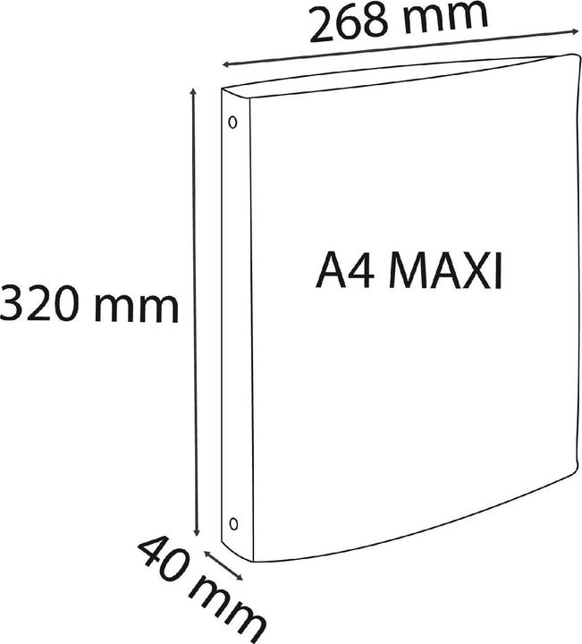 Actual product image Exacompta Skandi (A4+, 40 mm, 4 Piece)