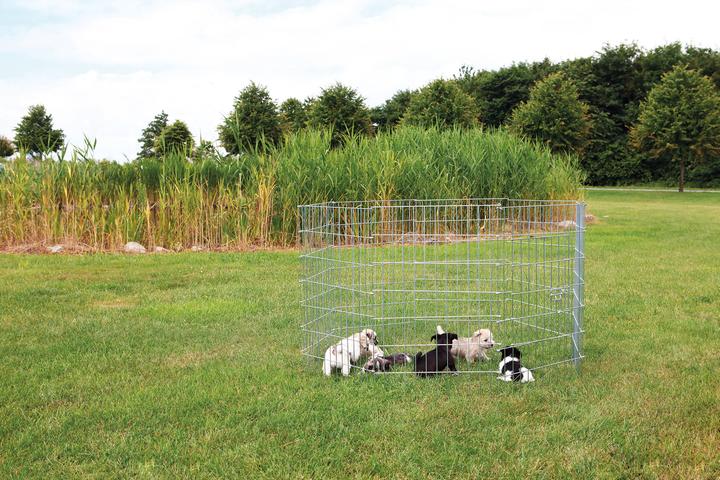 Immagine prodotto Trixie Pista libera per cani di piccola taglia (Gabbia per cani)