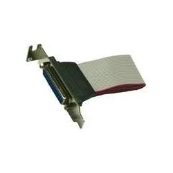 Exsys LowProfile Slotkabel 25 Pin Parallel 30cm länge (0.30 m), Schnittstellenkabel