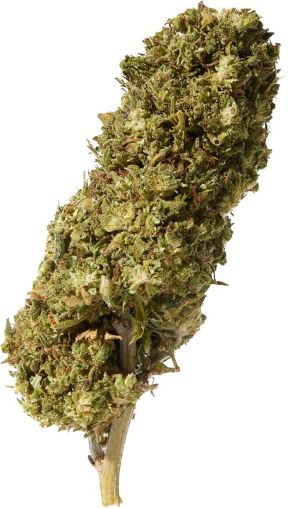 Image du produit Herba di Berna Pastèque extérieure 45g (45 g, Extérieur)