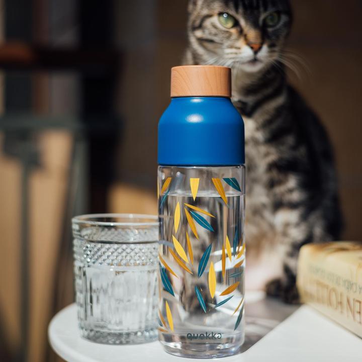 Actual product image Quokka Ice 720 ml - Drinking Bottle (0.72 l)