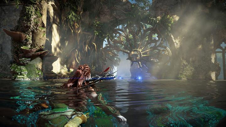 Actual product image Sony Horizon Forbidden West (PS5, DE)