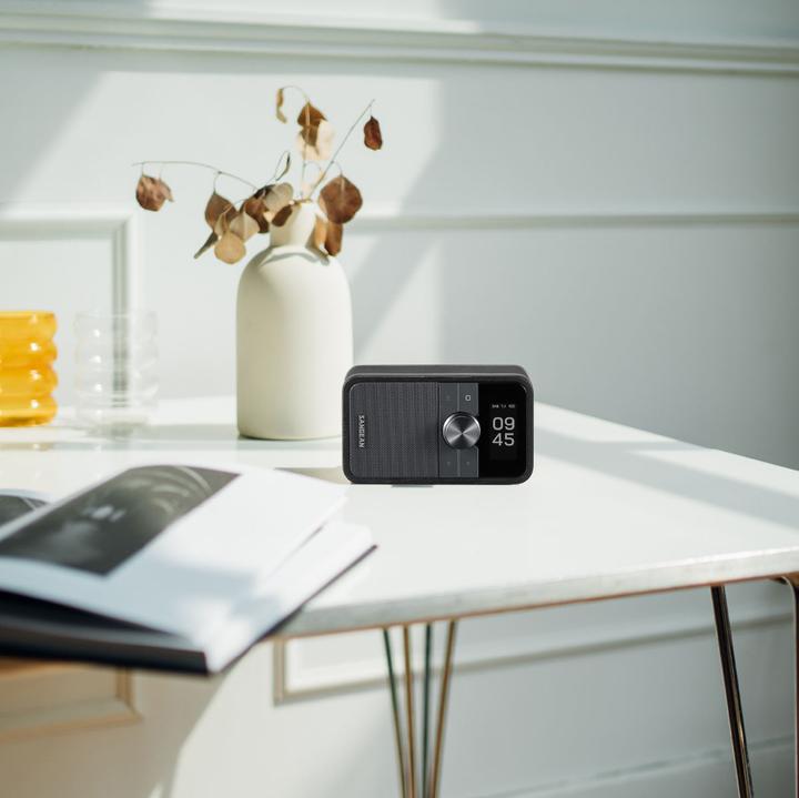 Actual product image Sangean DDR-8 (DAB+, FM, Bluetooth)