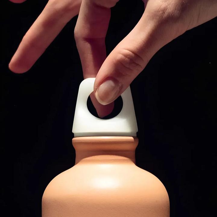 Actual product image Sigg Traveller Screw Top