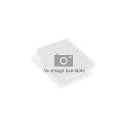 Thumbnail - HPE 2,26Ghz Intel Xeon E5520 (LGA 1366, 2.26 GHz, 4 -Core), Prozessor