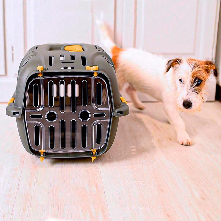 Immagine prodotto Ferplast 2 Dispositivo di trasporto per animali Pet transport box (Gatto, Animaletto, Cane, Pieghevole)