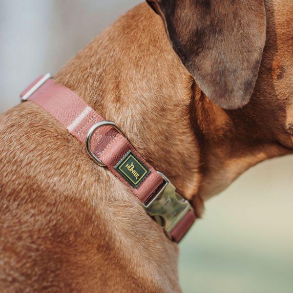 Produktbild Hunter Halsband Inari Alu-Strong, M, Pastellrot (M, Hund, Hundesport)