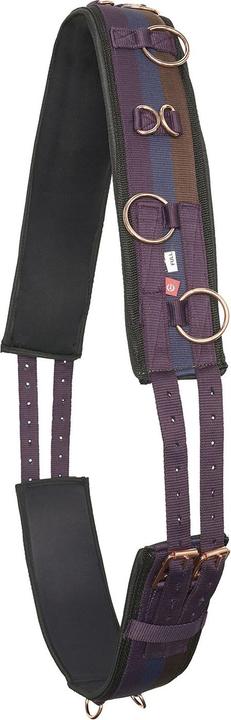 Image du produit Imperial Riding Harnais de longe IRHDeluxe Nylon