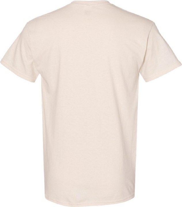 Actual product image Gildan Tshirt (XXL)