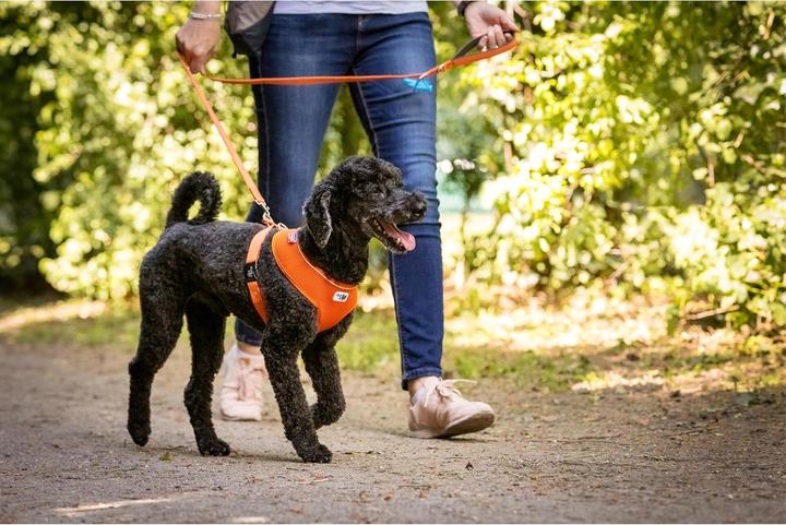 Immagine prodotto Curli Basic sele Air-Mesh sort M (M, Cane, Generale)