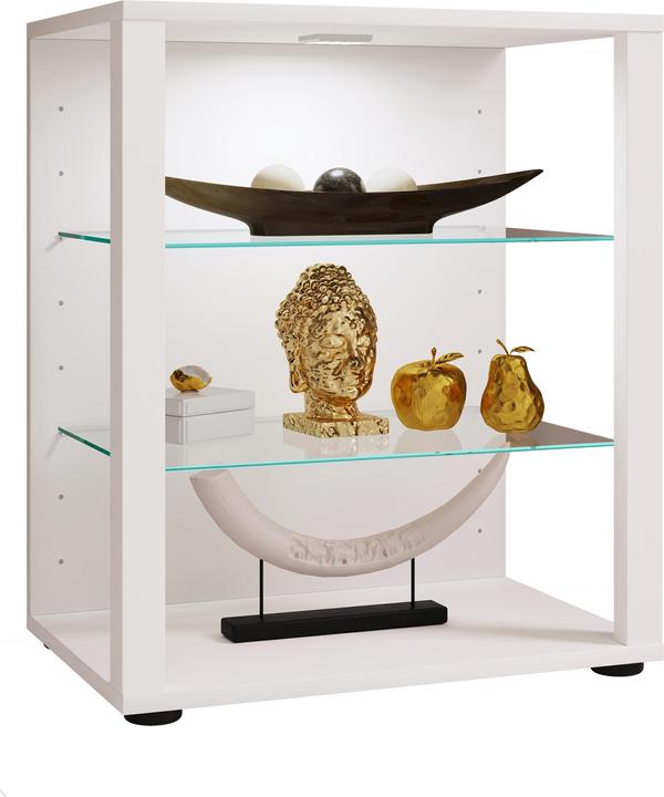 Produktbild VCM Holz Glas Vitrine Sammelvitrine Glasvitrine Schaukasten Standvitrine Glasol S (52 x 35 x 60 cm)