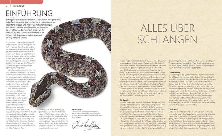 Produktbild Schlangen (Deutsch, Chris Mattison, 2016)