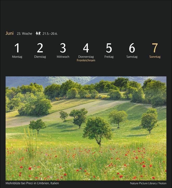 Actual product image Harenberg Magic Nature Postkartenkalender Kalender 2026 - Kalender mit 53 Postkarten (16 x 17.5 cm, No binding, German)