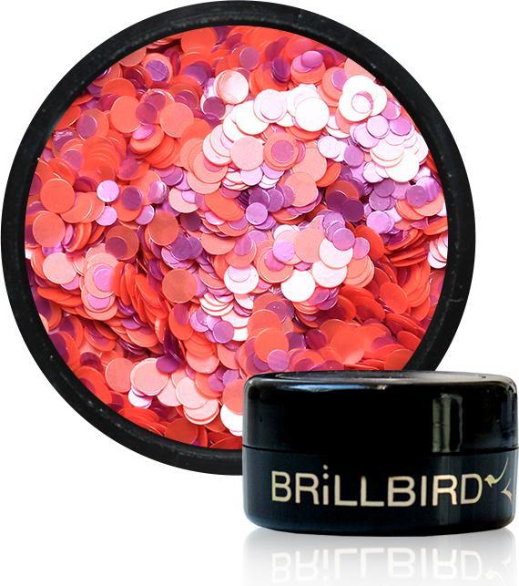BrillBird Nail Art Dots 3
