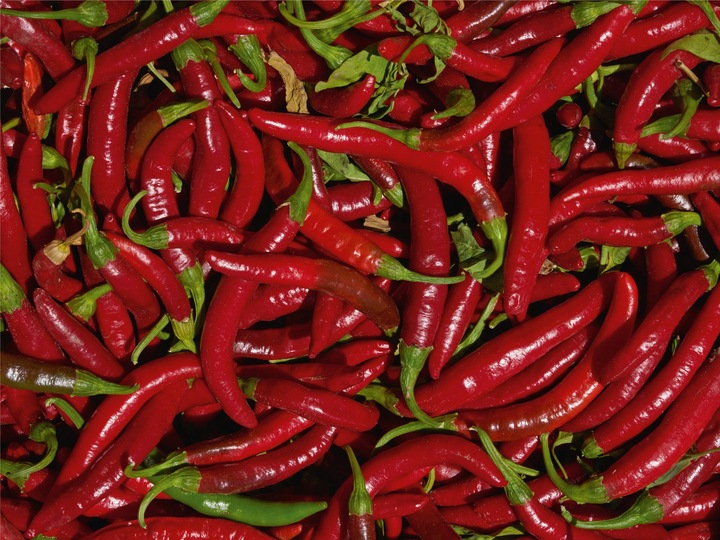 Immagine prodotto Living Seeds Scharfe Chili, de Cayenne (Semi di verdura)