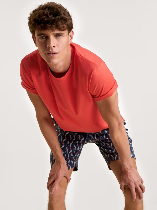 Immagine prodotto Calida Rmx Sleep Journey (M)