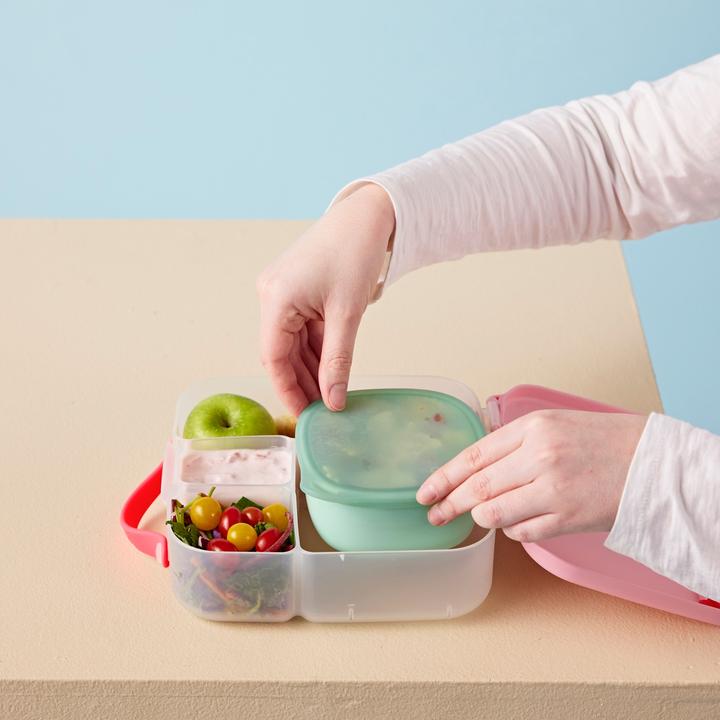 Actual product image B.Box Snackbox Forest