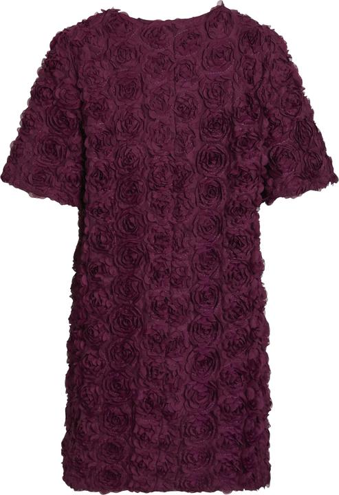 Produktbild Vila VISOPHIA Kurzärmeliges Minikleid (40)