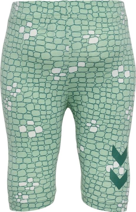 Produktbild hummel hmlZANZI TIGHTS CAPRI (80)