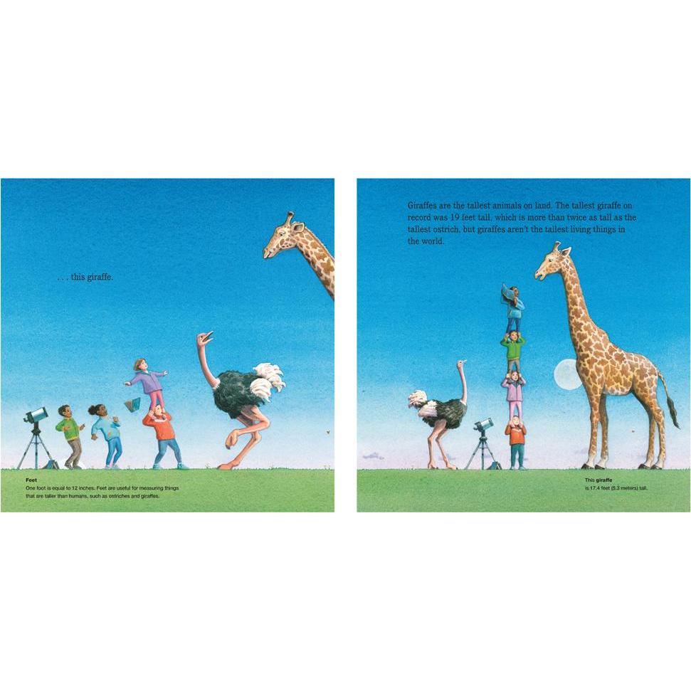 Thumbnail - Chin:Your Place in the Universe, Kinderbücher von Jason Chin