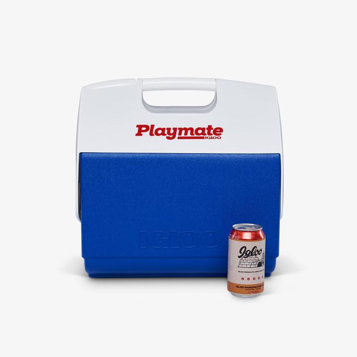 Actual product image Igloo big guardian ice box (15.20 l)