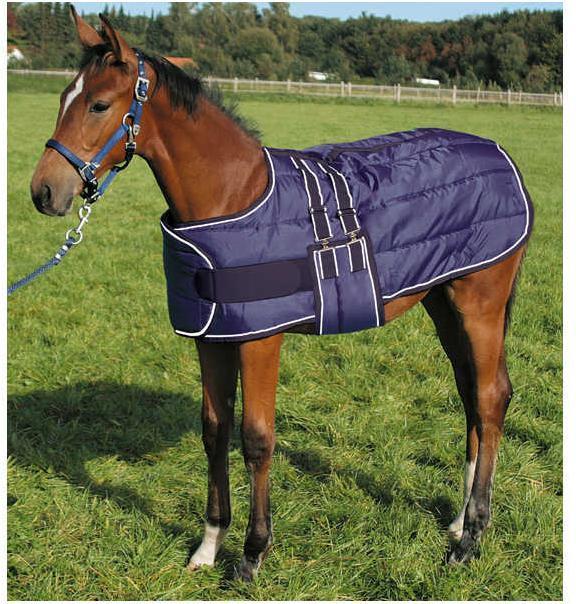 Actual product image Waldhausen Outdoor blanket 100 g (83 cm)