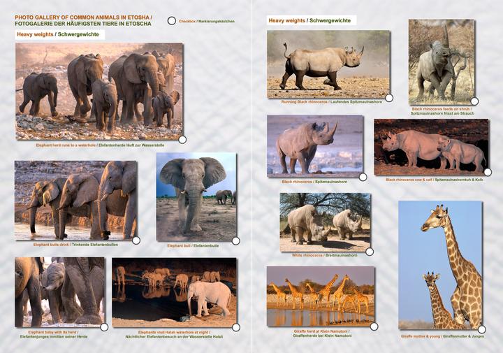 Actual product image Das komplette Kartenset NAMIBIA Plus (4-teilig)